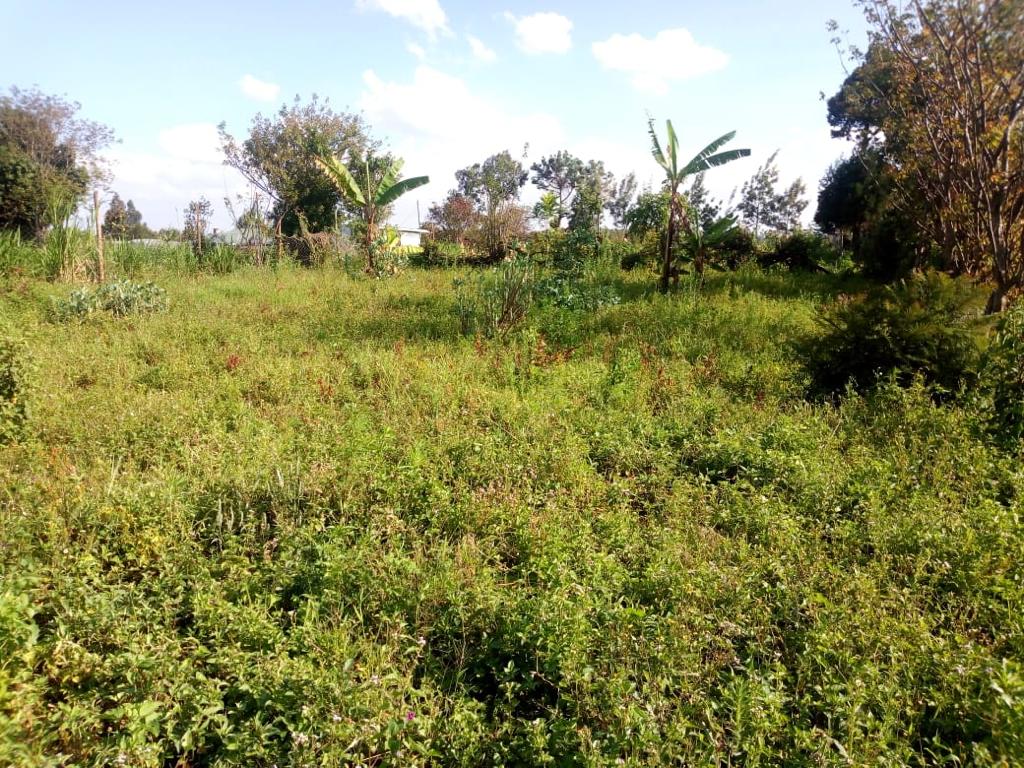 1/8th Acre plot for sale in Kikuyu Mutarakwa