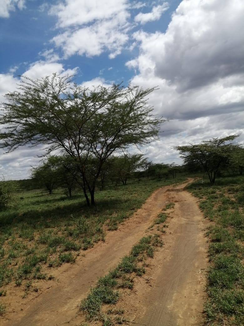 220 Acres Agricultural land for Sale in Suswa Narok