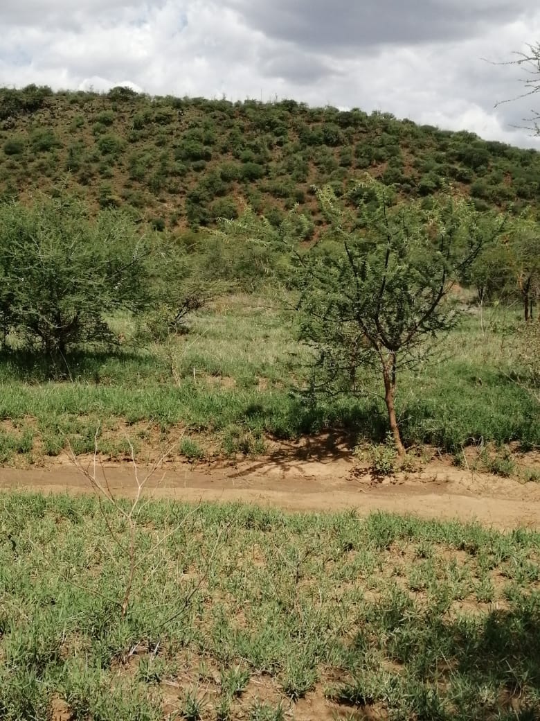 220 Acres Agricultural land for Sale in Suswa Narok