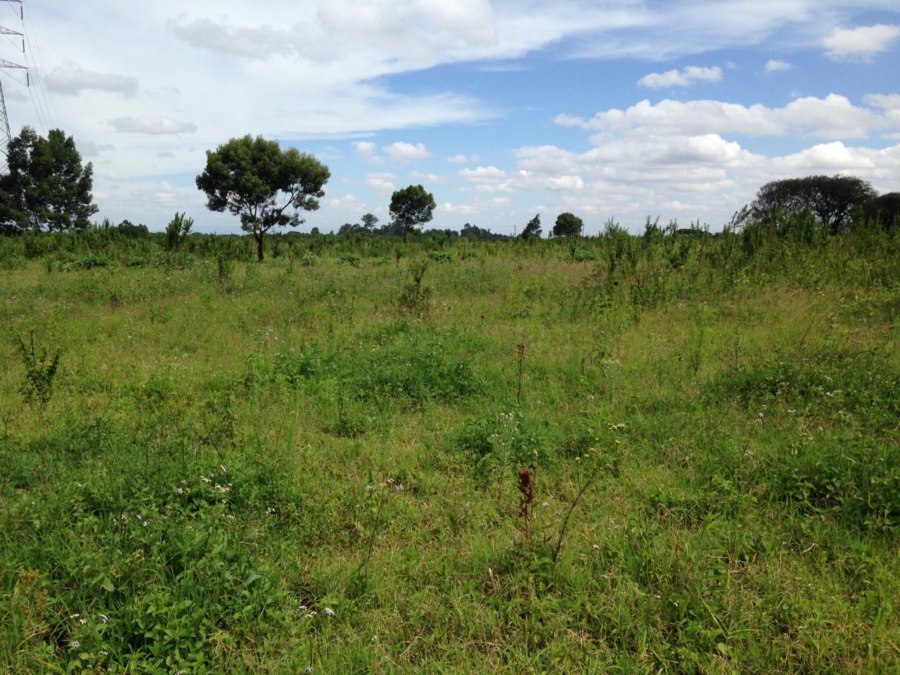 10 acres Hot sale in Limuru Redhill