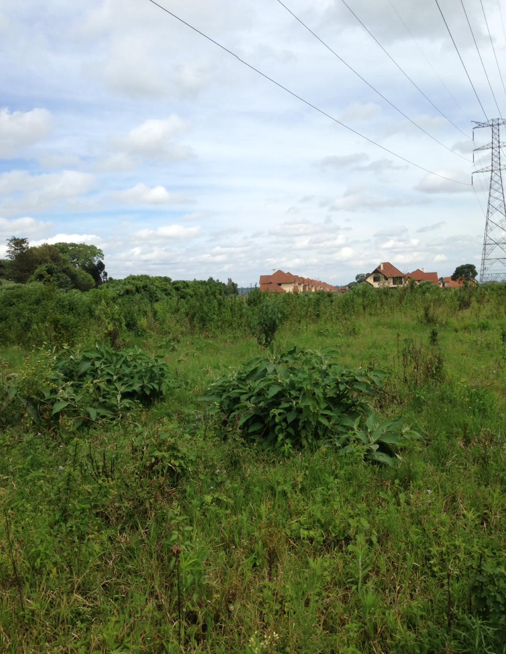 10 acres Hot sale in Limuru Redhill