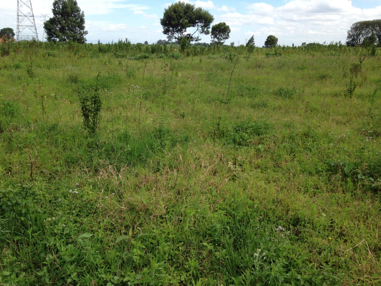 10 acres Hot sale in Limuru Redhill