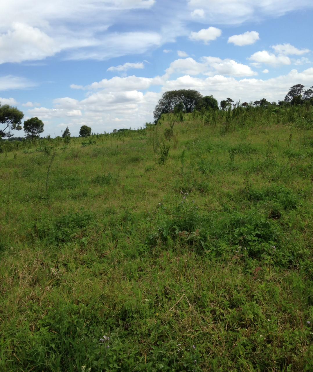 10 acres Hot sale in Limuru Redhill