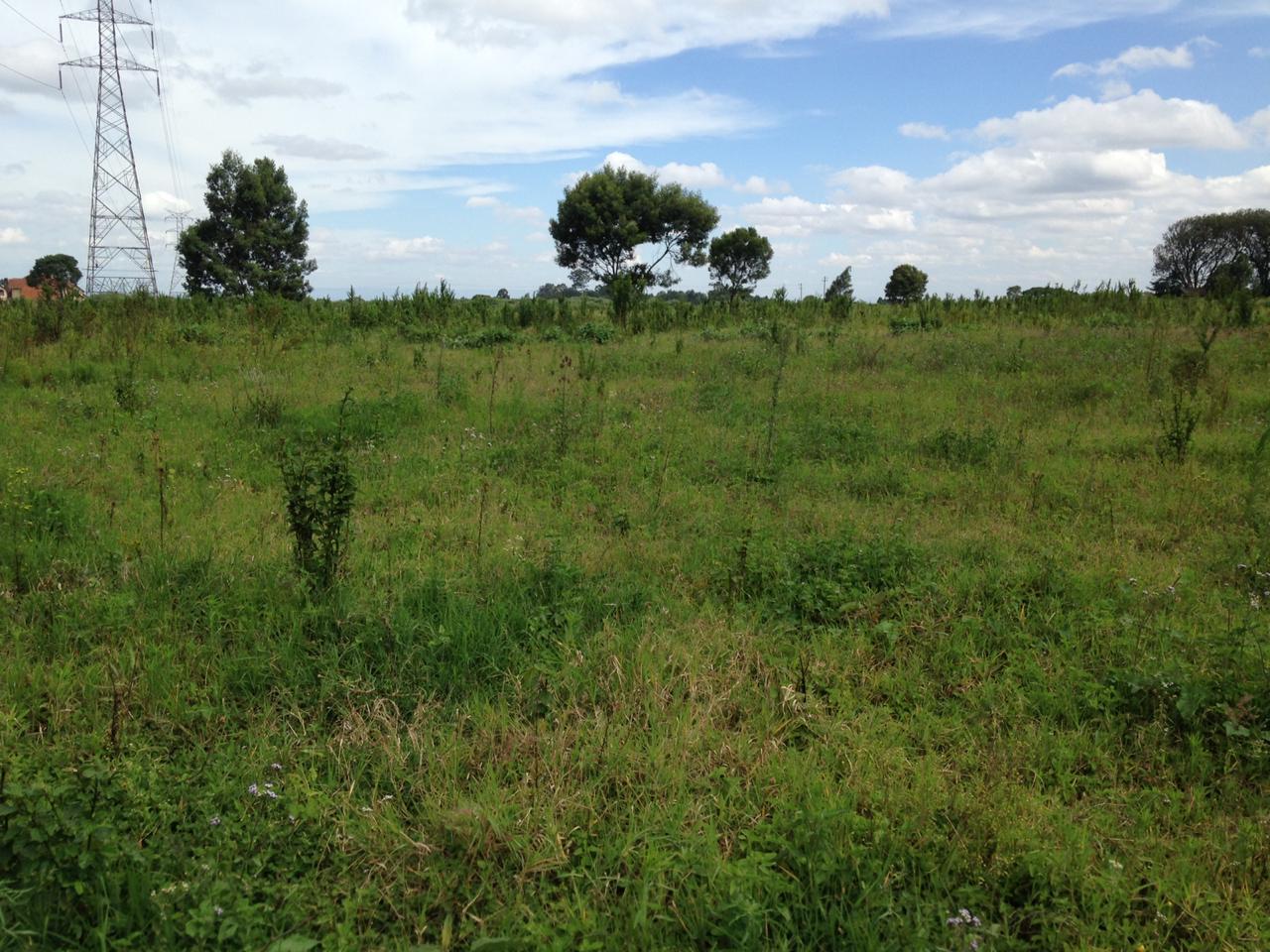 10 acres Hot sale in Limuru Redhill