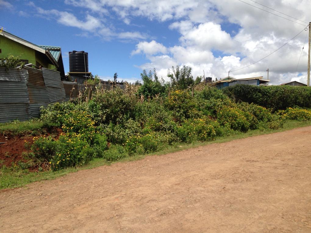 1/8th Acre plot for Sale in Gitutha Ndeiya