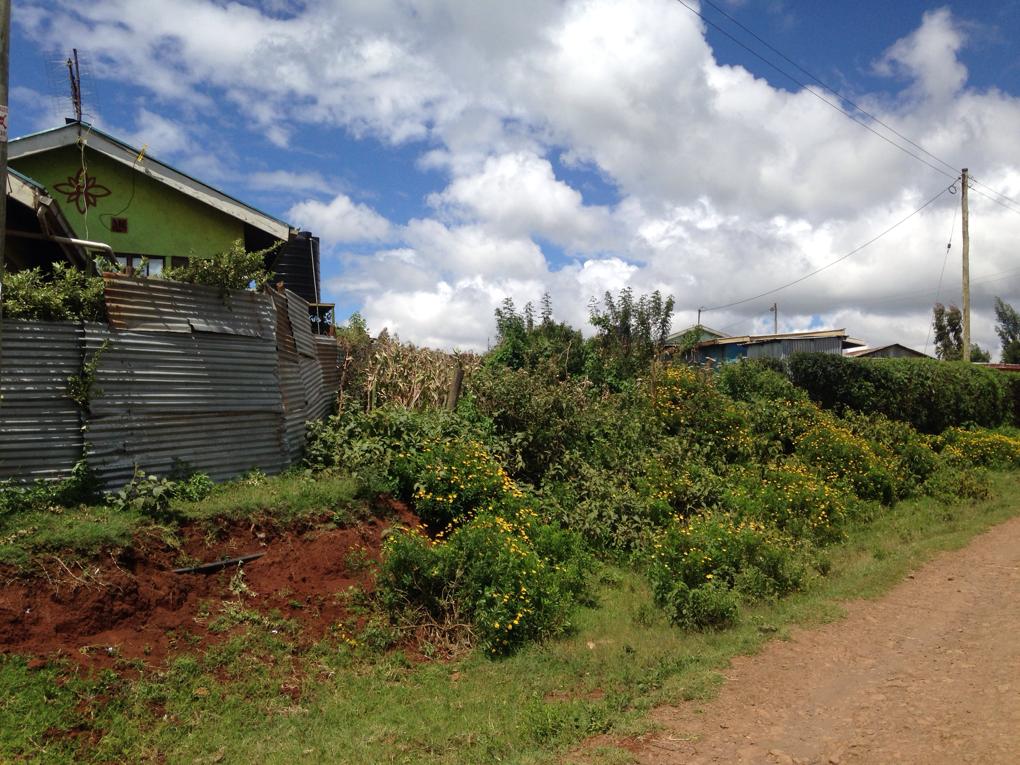 1/8th Acre plot for Sale in Gitutha Ndeiya