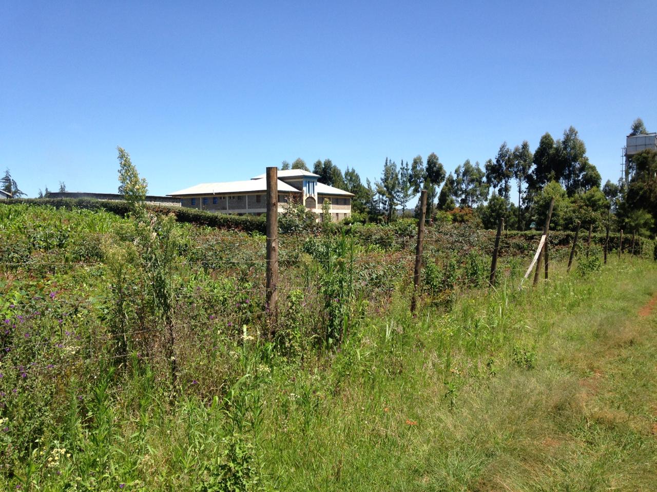 1 1/2 Acre In Distress sale !! in Thigio Limuru