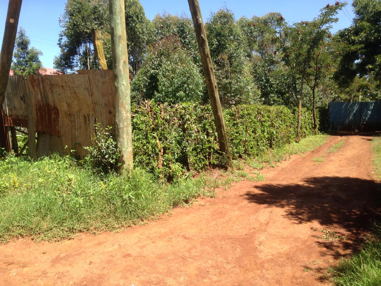 1 Acre Prime plot in Limuru, Ndeiya for SALE