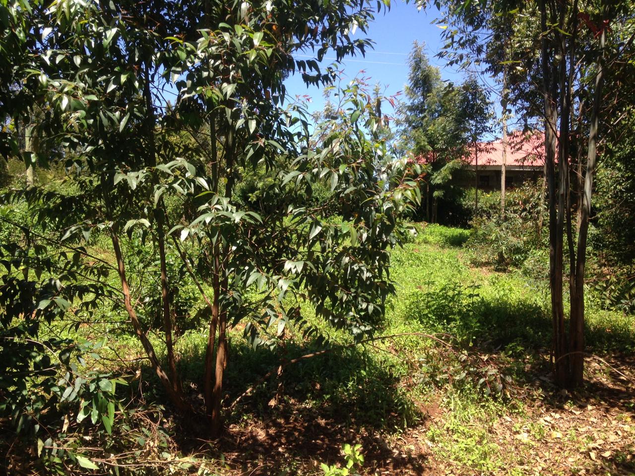 1 Acre Prime plot in Limuru, Ndeiya for SALE