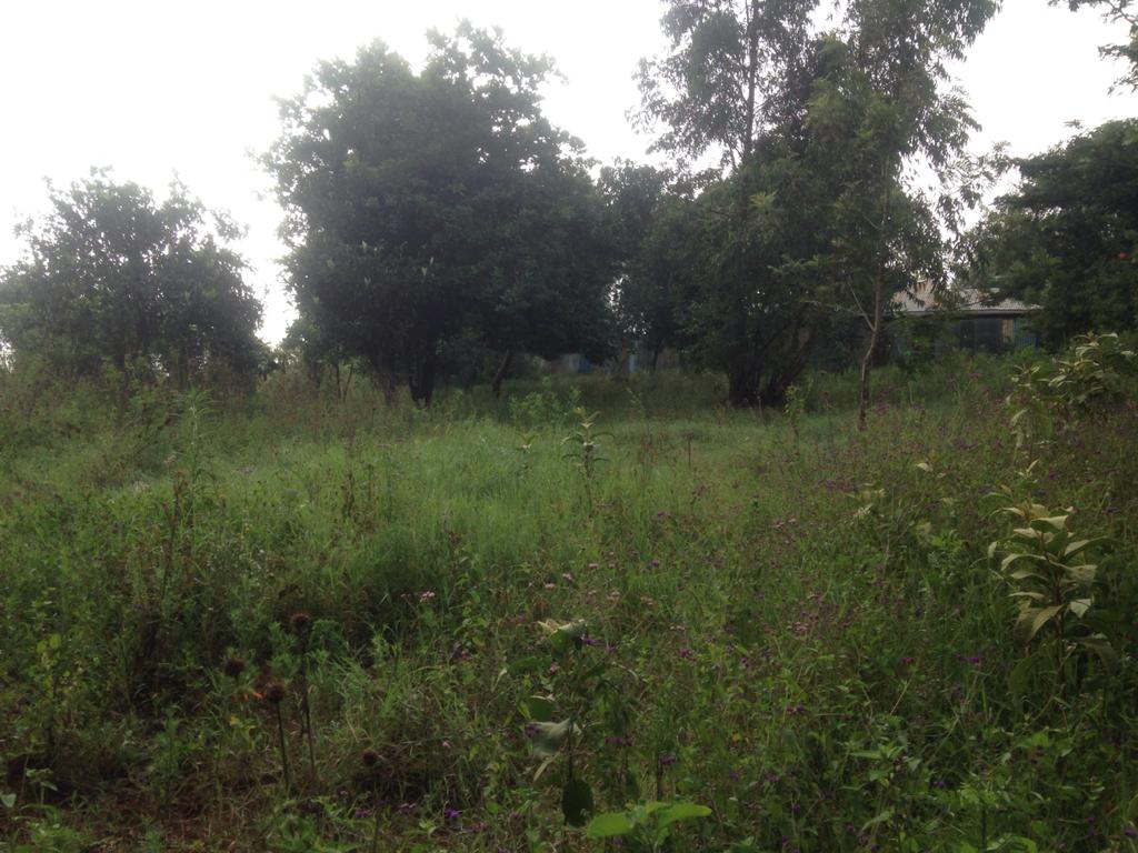 2 Acres Prime land Sale in Kikuyu Kiambu