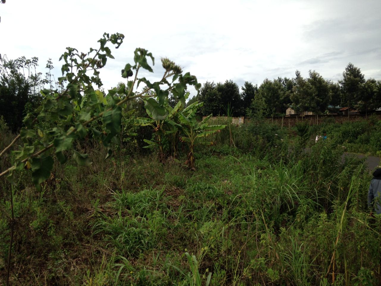 1/8 Acre commercial plot in Kamangu Kikuyu