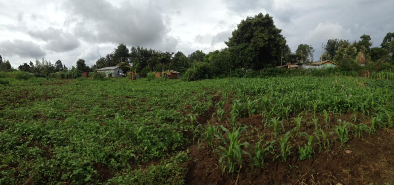 1/8 Acre plot for sale in Kikuyu Kiambu