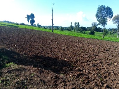 9 Acres Land for Sale in Njoro
