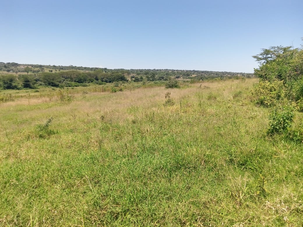 188 Acres Agricultural land in Narok county for Sale