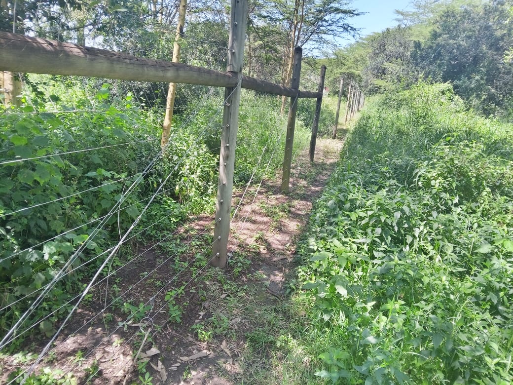 188 Acres Agricultural land in Narok county for Sale