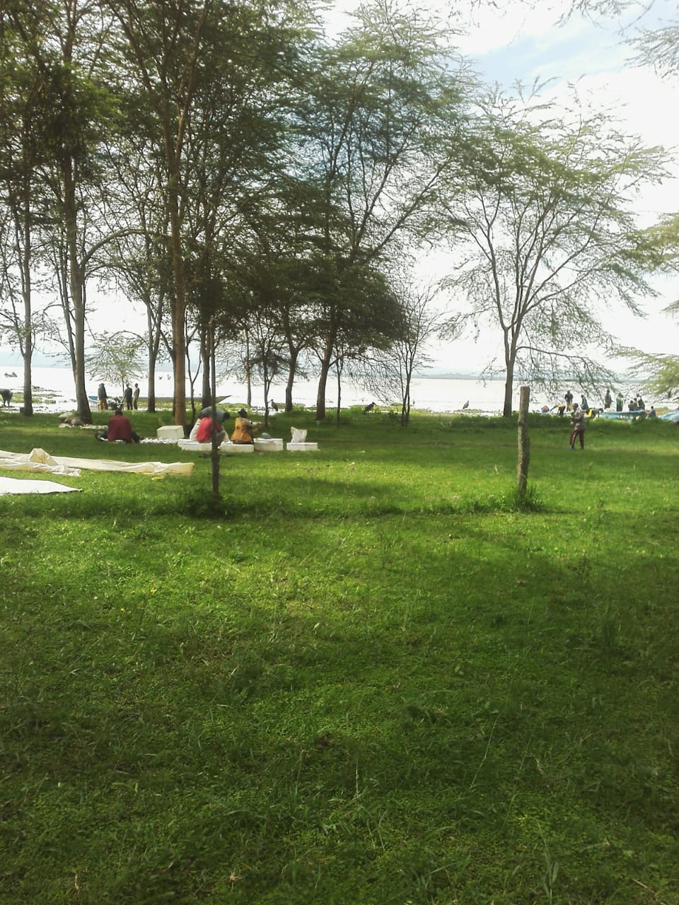 6 Acres Lake Naivasha hotel for Sale