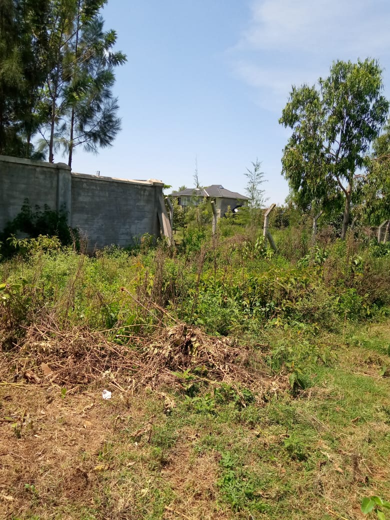 0.25 Acres Commercial land in Bondo town for sale