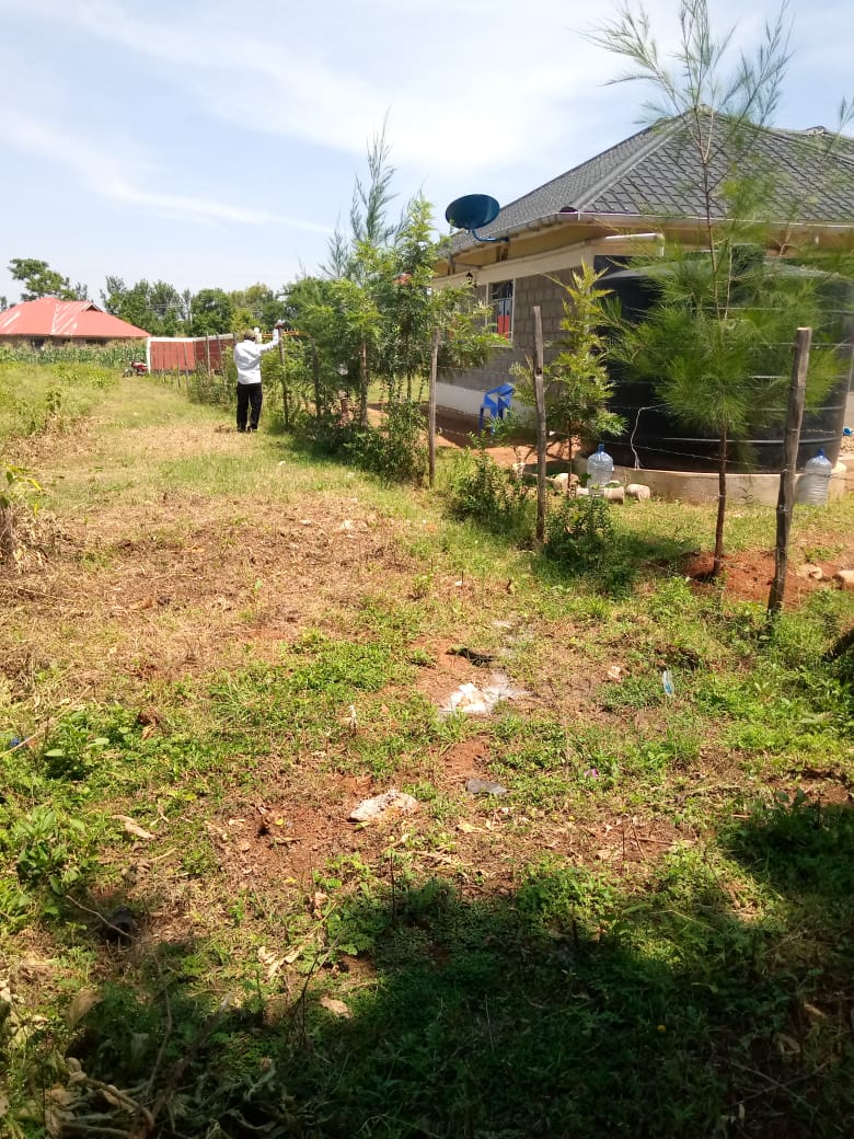 0.25 Acres Commercial land in Bondo town for sale