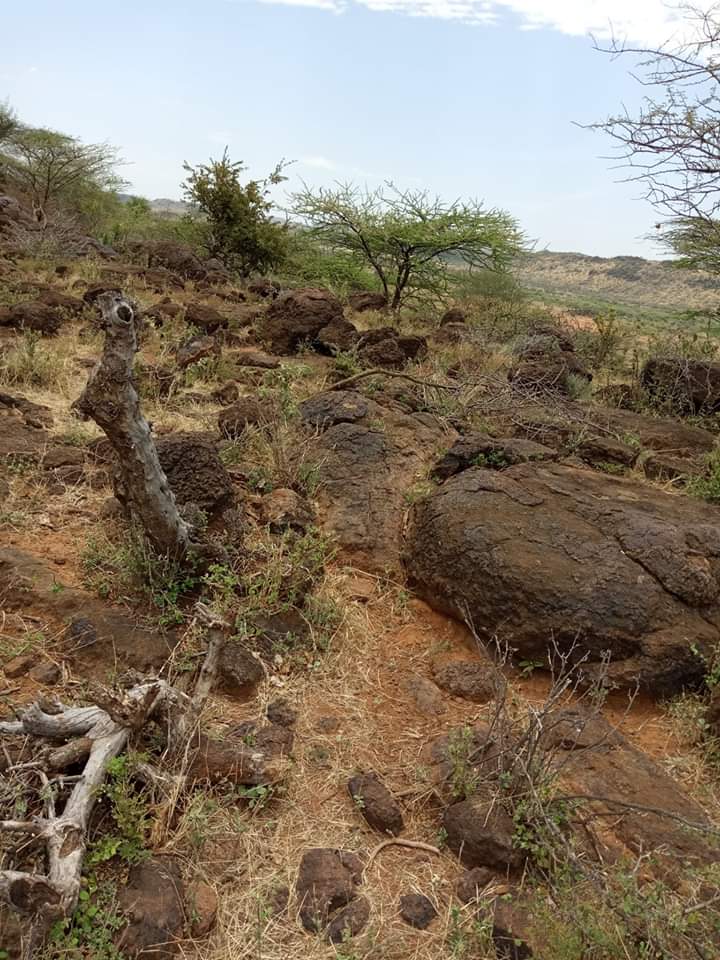 40 Acres of Stone field for sale in Kajiado west 