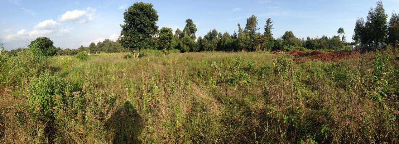 0.125 Acre plot in Renguti Kikuyu for sale