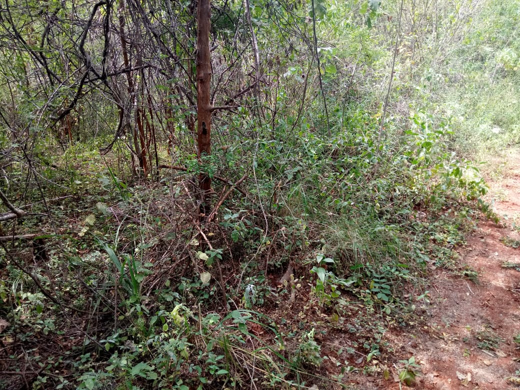 28.5 Acres land in Embu county Muminji area for sale