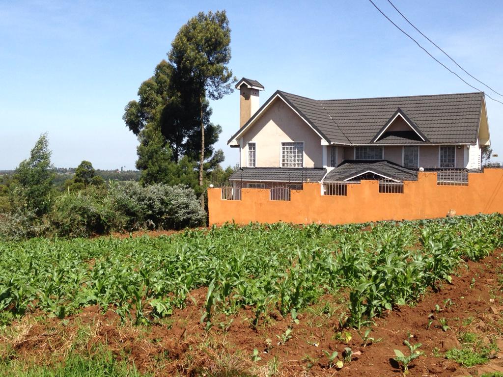 0.125 Acres prime plot for sale in Limuru Bibirioni