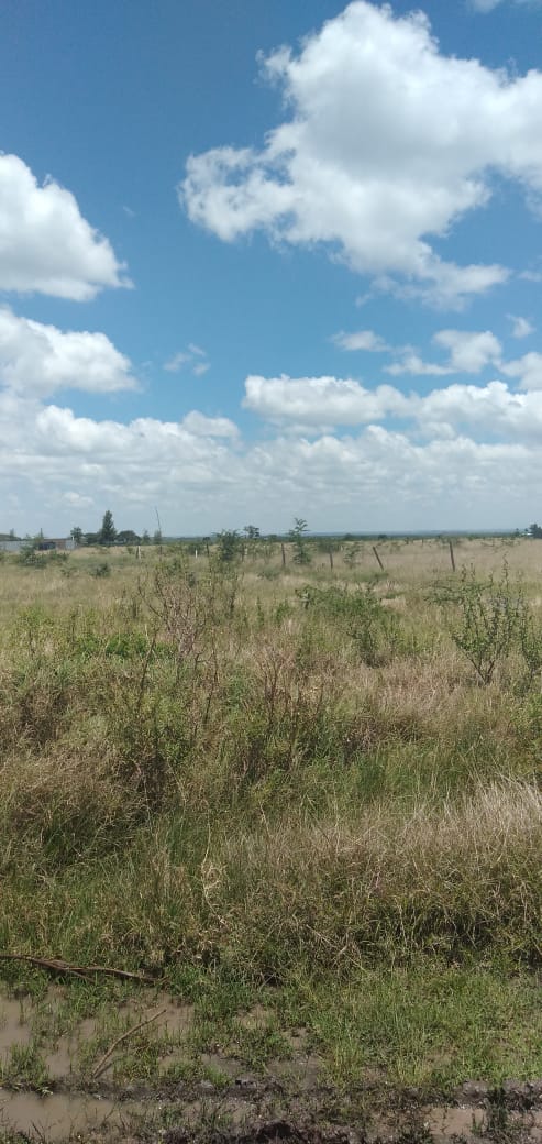 0.125 Acre plot for sale in Juja farm Kiambu