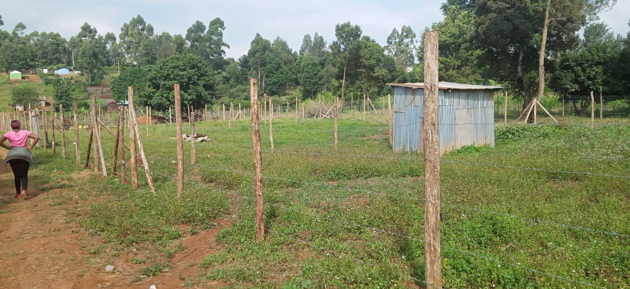 0.125 Acre prime plots for sale in Kikuyu Kiambu