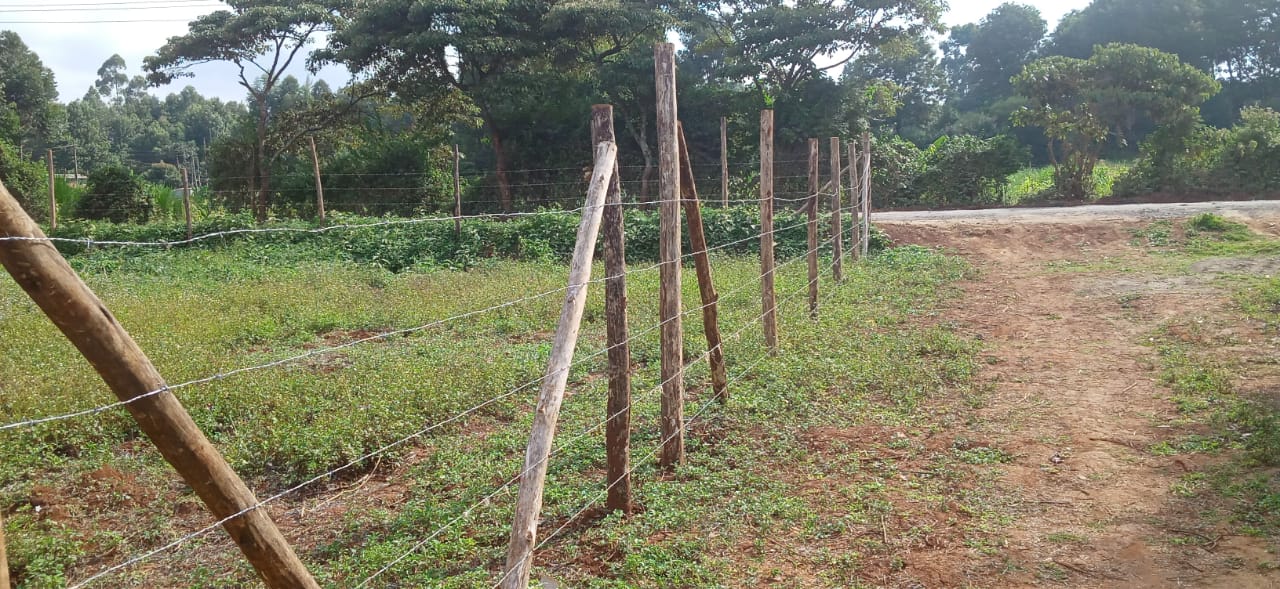 0.125 Acre prime plots for sale in Kikuyu Kiambu