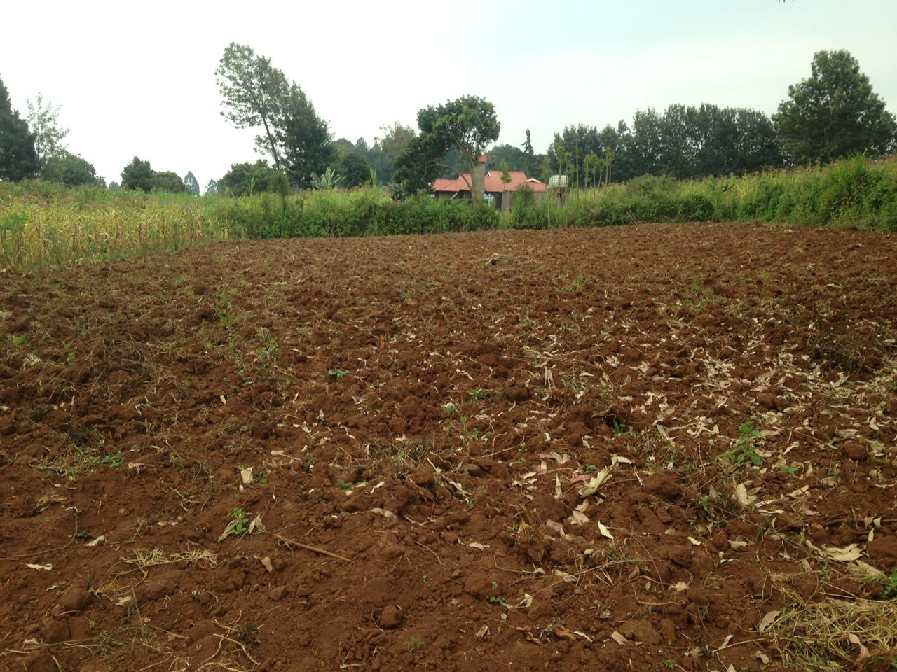 135 ft by 112 ft Plot for sale in Thigio Limuru. Distress sale