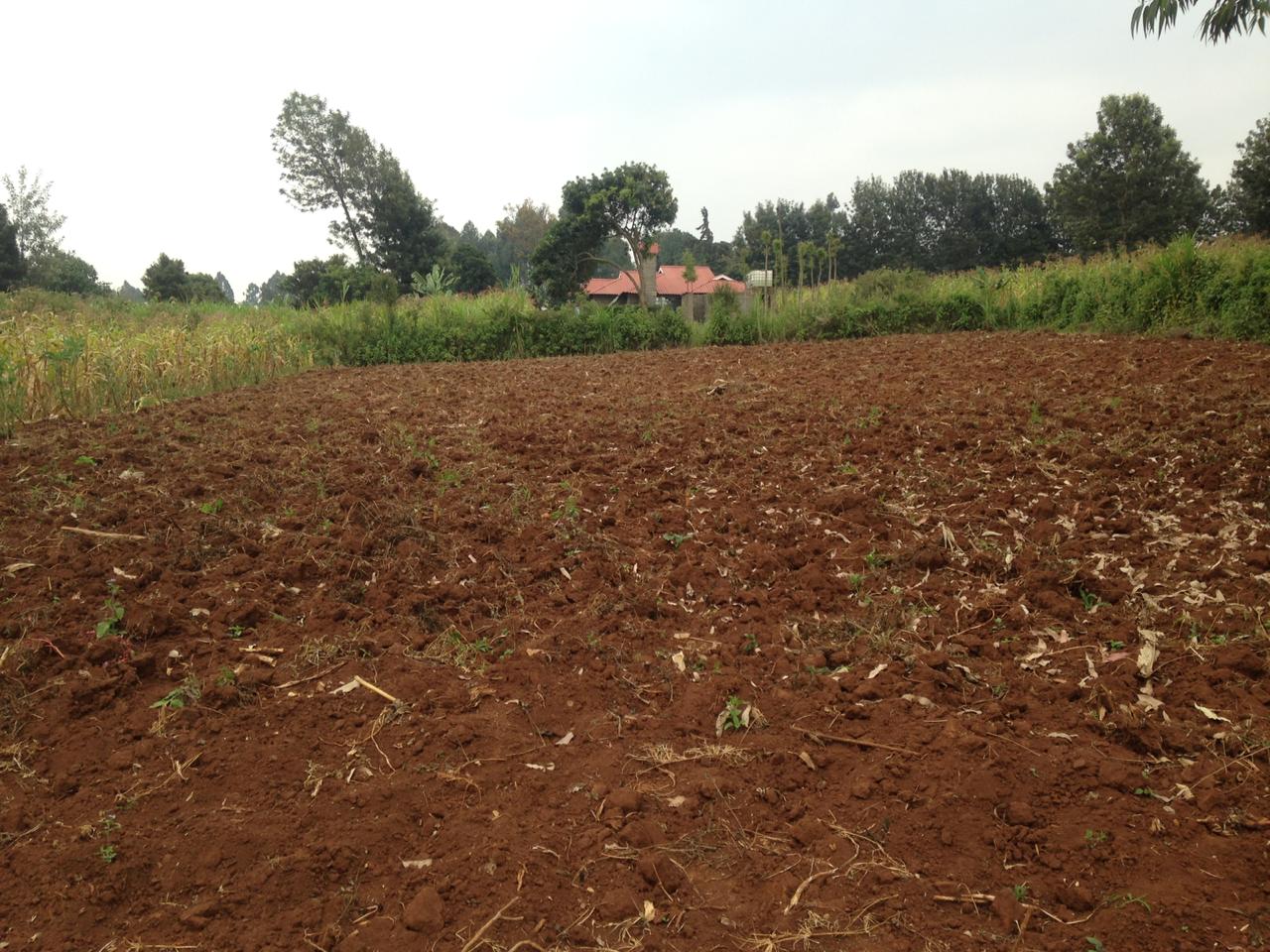135 ft by 112 ft Plot for sale in Thigio Limuru. Distress sale