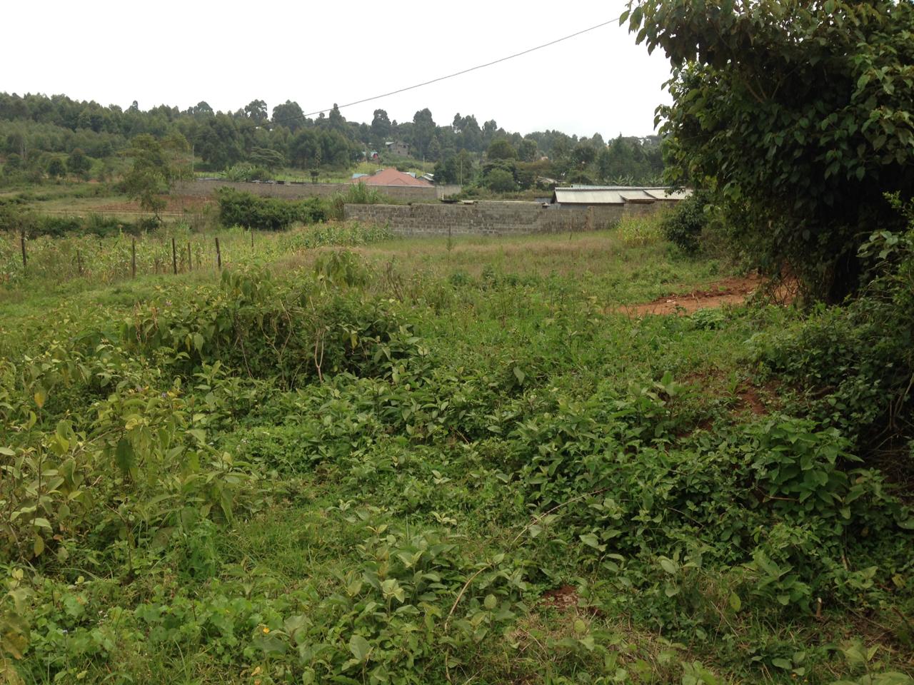 1/4 Acre plot for sale in Kikuyu Kamangu