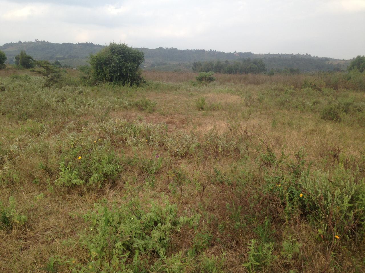 Distress 5 acres Plot for sale Kikuyu Ndigûini Kamangu