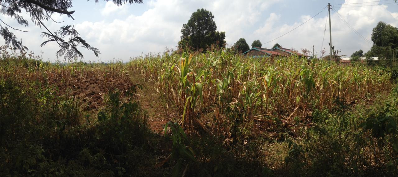 1 1/2 Acre plot for sale in Limuru Ndeiya