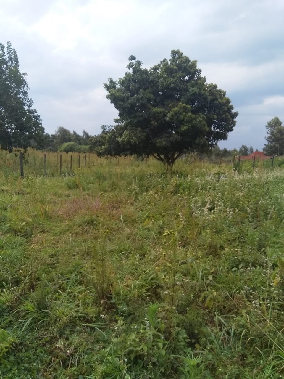1/8 Acre plot for sale on a gated community in Kikuyu